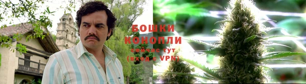 гидропоника Медногорск