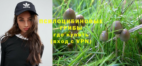 гидропоника Алексин