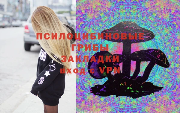 молекула духа Мегион