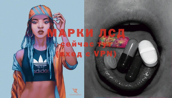 эйфоретик Арсеньев