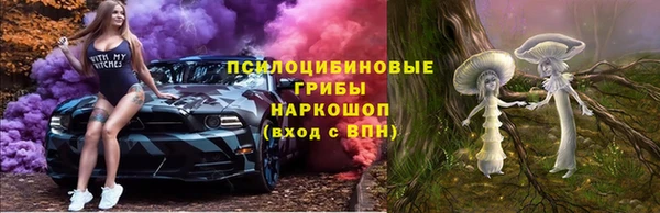 гидра Алзамай
